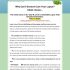 A Comprehensive Guide for Beginners – KittyNook Cat Company